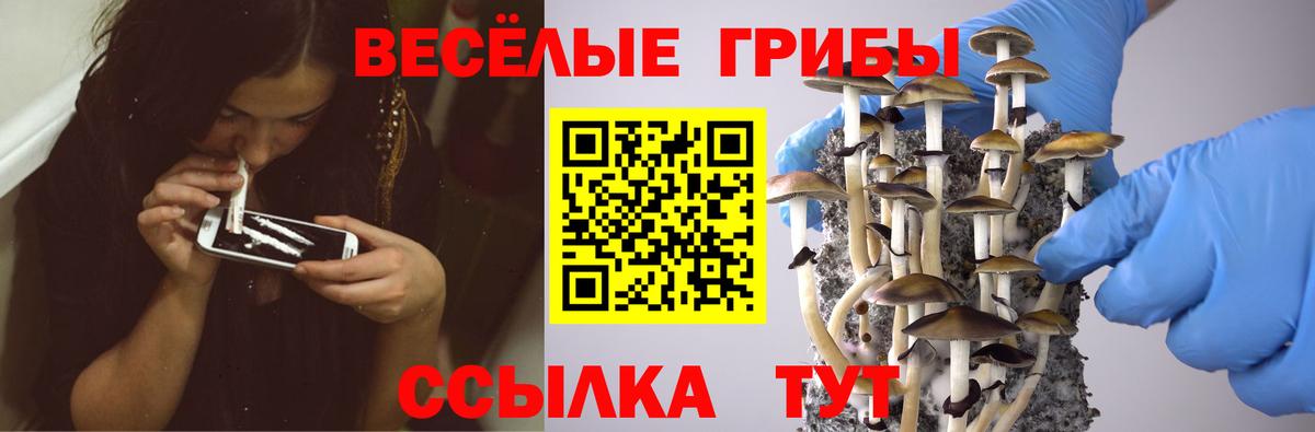 Псилоцибиновые грибы мухоморы Богданович