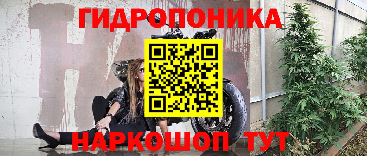 Канабис AK-47  Вход с VPN  Бошки марихуана тримм  Богданович 